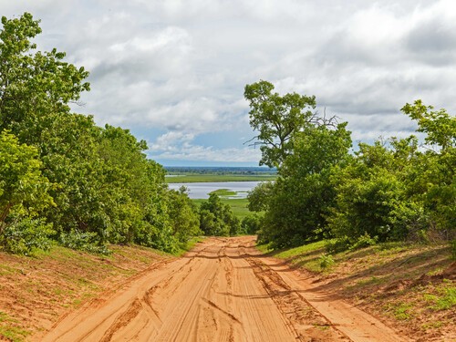 KrugerCapeTownTour (12)